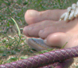 abs_ex3.pngjpg