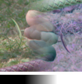 bp_alph2.pngjpg
