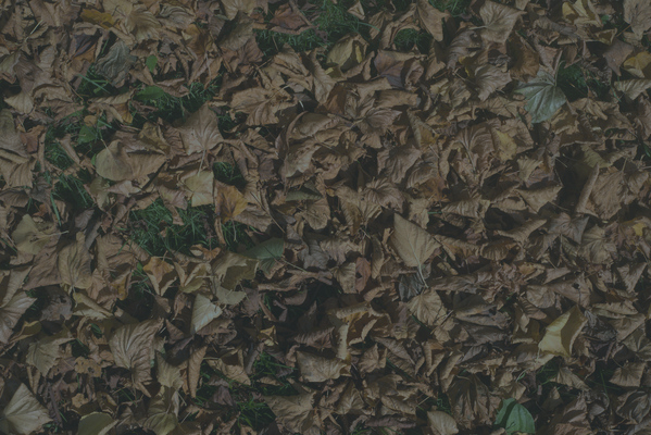 bp_gb1.pngjpg