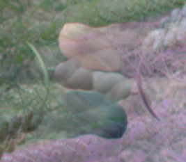 bp_mebc2.pngjpg