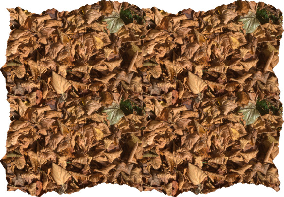 dpt_lvs_tiled4_sm.jpg