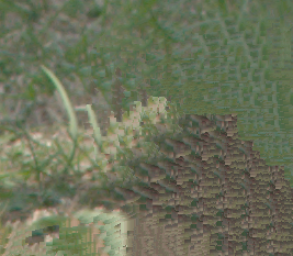 fhp_th4_fh.pngjpg