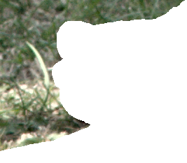 gb_toes_ms.pngjpg
