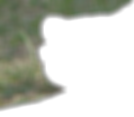 ii_sm3.pngjpg