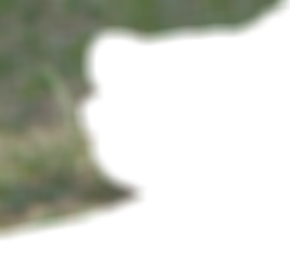 ii_smpm3.pngjpg