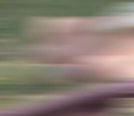 ii_smt1.pngjpg