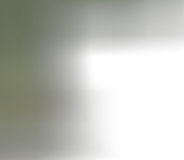 ii_tt_di1.png