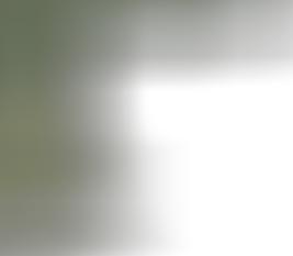 ii_tt_di2.png