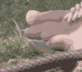 jm_toes_14.pngjpg