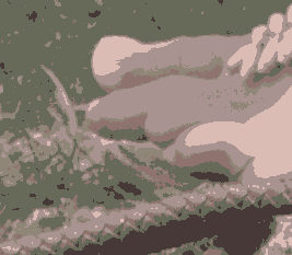jm_toes_x.png