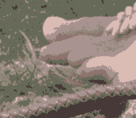 jm_toesd_6.pngjpg