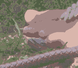 jz_kclus3.pngjpg