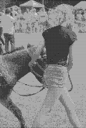 li_n3i.png