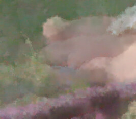 mspl5_mbc_msp_paint_6.pngjpg