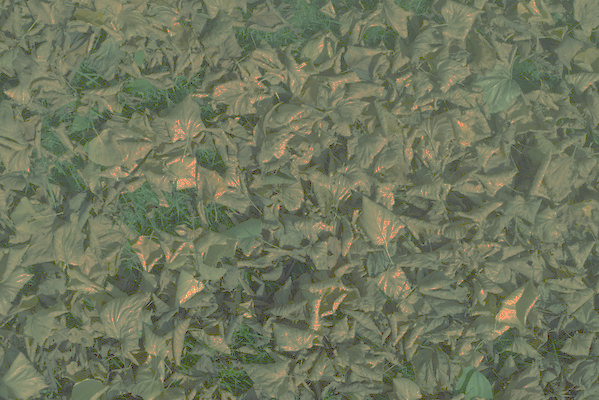 sms_set_th2.pngjpg