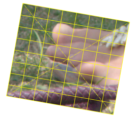 tt_sampdist1.pngjpg