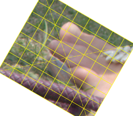 tt_sampdist2.pngjpg